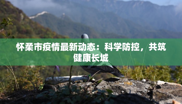 快递堆积物流异常:破解双11背后的“交通拥堵”谜题 快递堆积物流异常:破解双11背后的“交通拥堵”谜题