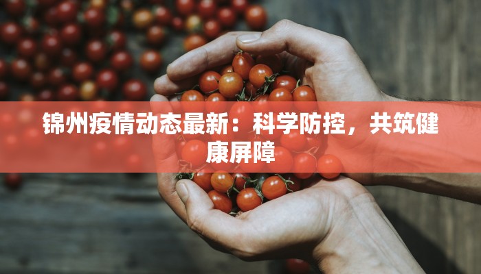 嘉兴南湖天地服装：时尚与湖光交织的魅力之选