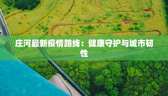 河南疫情最新情况：科学防控与生活重启的温暖篇章