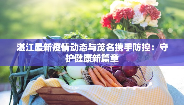 湛江最新疫情动态与茂名携手防控：守护健康新篇章