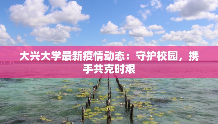 阜阳疫情情况最新消息