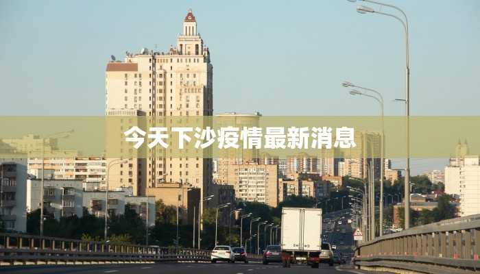 陈湖最新疫情:科学防控下的守护与希望 陈湖最新疫情:科学防控下的守护与希望