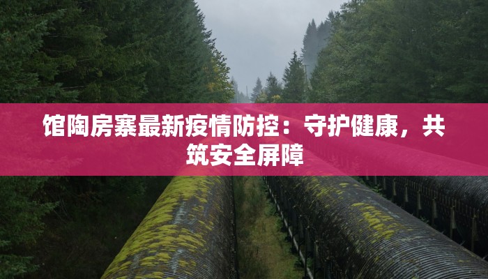 馆陶房寨最新疫情防控:守护健康,共筑安全屏障 馆陶房寨最新疫情防控:守护健康,共筑安全屏障