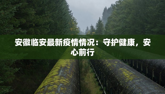 安徽临安最新疫情情况:守护健康,安心前行 安徽临安最新疫情情况:守护健康,安心前行