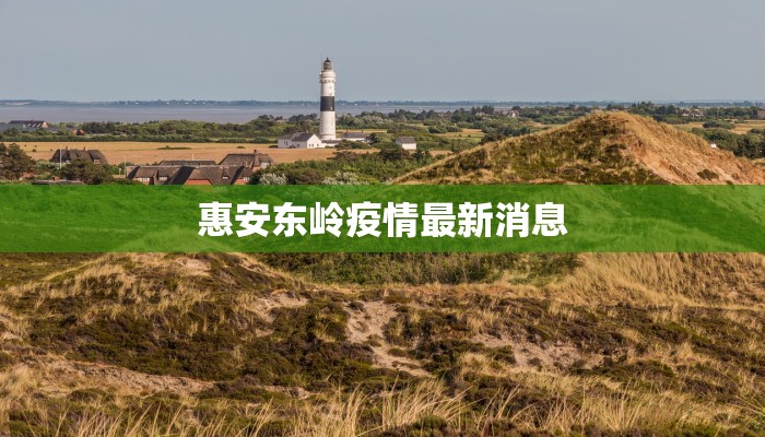 惠安东岭疫情最新消息 惠安东岭疫情最新消息