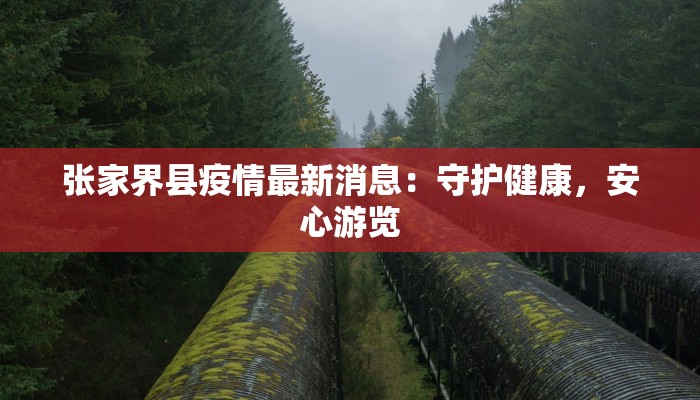 云南疫情最新疫情消息：守护健康，安心前行