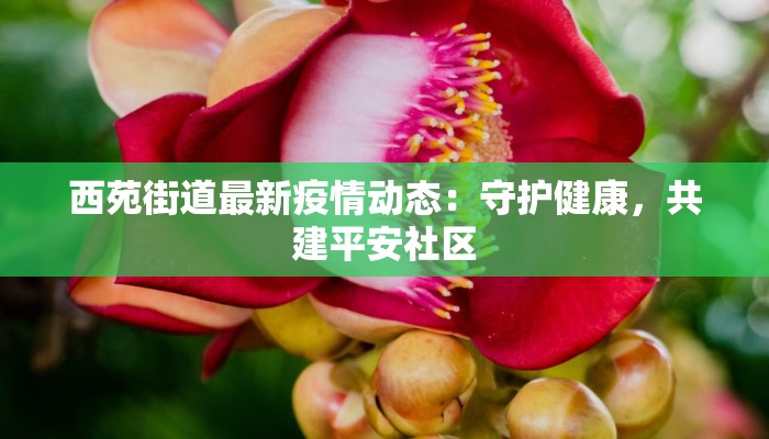 西苑街道最新疫情动态：守护健康，共建平安社区