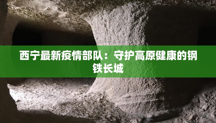 鹤壁疫情最新今日通报