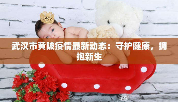 武汉市黄陂疫情最新动态：守护健康，拥抱新生