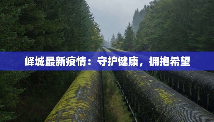 峄城最新疫情：守护健康，拥抱希望