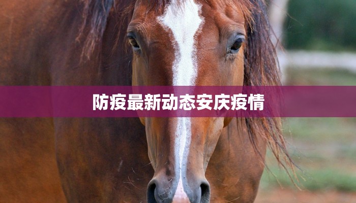 物流快递纠纷事件处理:化解烦恼,畅享便捷 物流快递纠纷事件处理:化解烦恼,畅享便捷