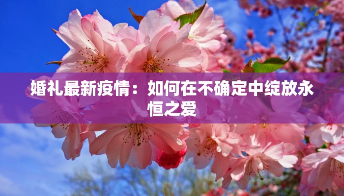 马云控制快递物流：从电商帝国到物流霸主的传奇之路