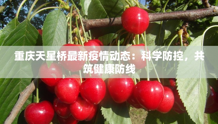 汕头最新疫情最新通报 汕头最新疫情最新通报