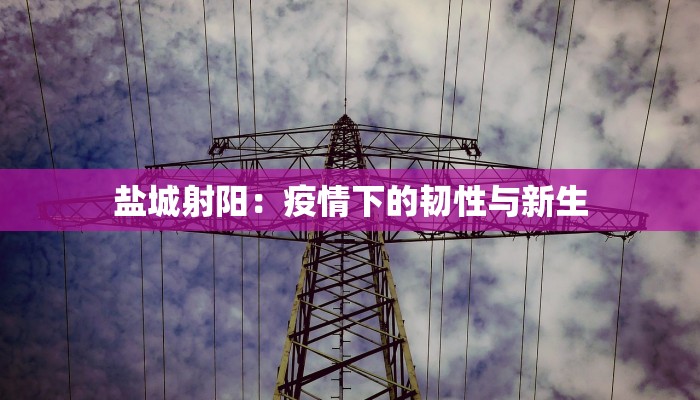 盐城射阳:疫情下的韧性与新生 盐城射阳:疫情下的韧性与新生