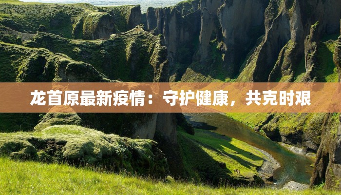 龙首原最新疫情:守护健康,共克时艰 龙首原最新疫情:守护健康,共克时艰