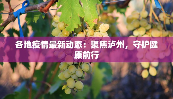 各地疫情最新动态:聚焦泸州,守护健康前行 各地疫情最新动态:聚焦泸州,守护健康前行
