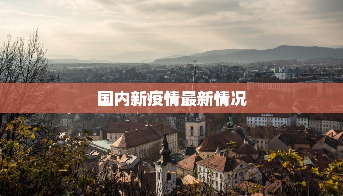 国内新疫情最新情况 国内新疫情最新情况