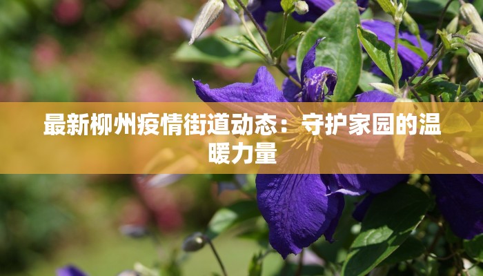 最新柳州疫情街道动态:守护家园的温暖力量 最新柳州疫情街道动态:守护家园的温暖力量