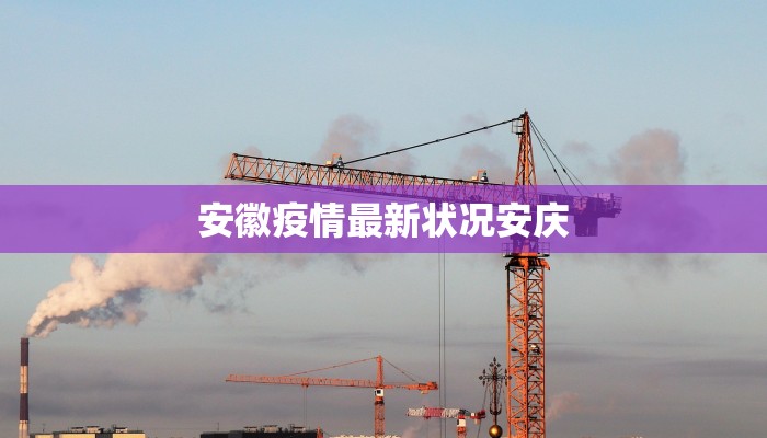 安徽疫情最新状况安庆