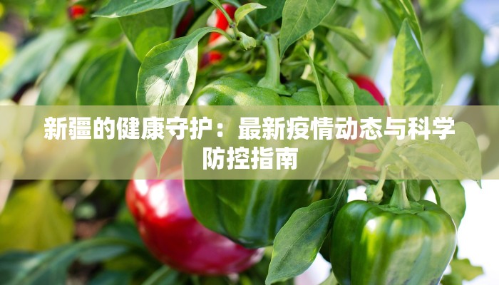 新疆的健康守护:最新疫情动态与科学防控指南 新疆的健康守护:最新疫情动态与科学防控指南