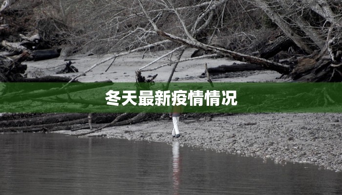 京东物流快递费用表详解:聪明选择,省钱又高效 京东物流快递费用表详解:聪明选择,省钱又高效