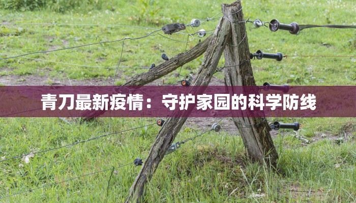 瑞丽领航疫情最新通报 瑞丽领航疫情最新通报