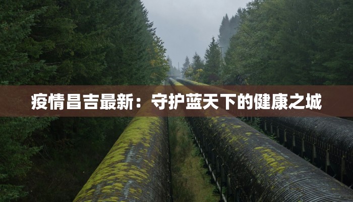 疫情昌吉最新：守护蓝天下的健康之城