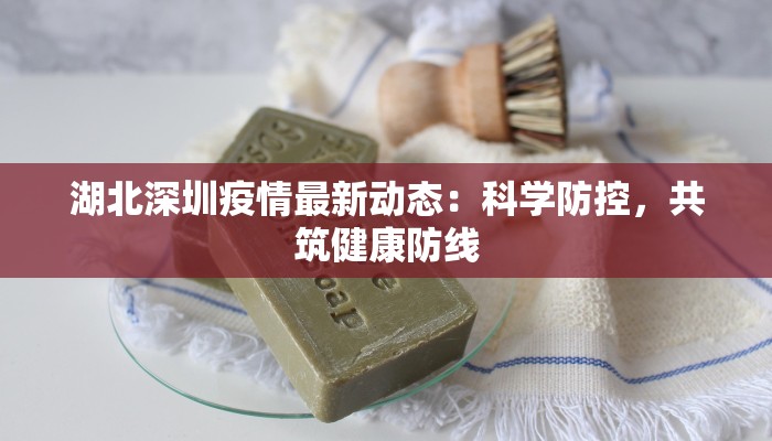 湖北深圳疫情最新动态:科学防控,共筑健康防线 湖北深圳疫情最新动态:科学防控,共筑健康防线