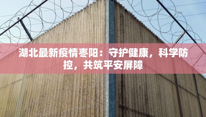 湖北最新疫情枣阳:守护健康,科学防控,共筑平安屏障 湖北最新疫情枣阳:守护健康,科学防控,共筑平安屏障