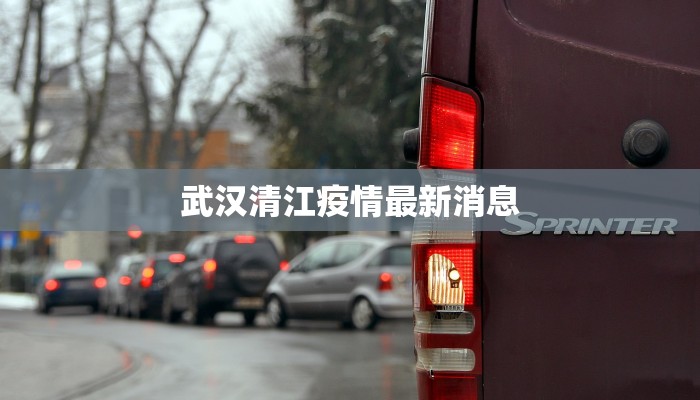 武汉清江疫情最新消息 武汉清江疫情最新消息