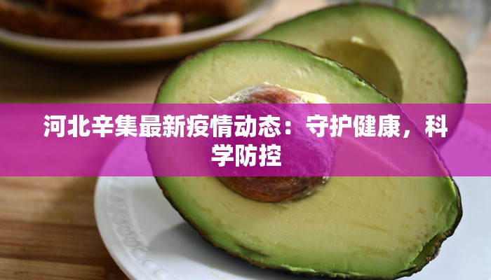 河北辛集最新疫情动态:守护健康,科学防控 河北辛集最新疫情动态:守护健康,科学防控