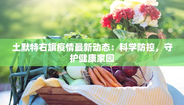 土默特右旗疫情最新动态:科学防控,守护健康家园 土默特右旗疫情最新动态:科学防控,守护健康家园