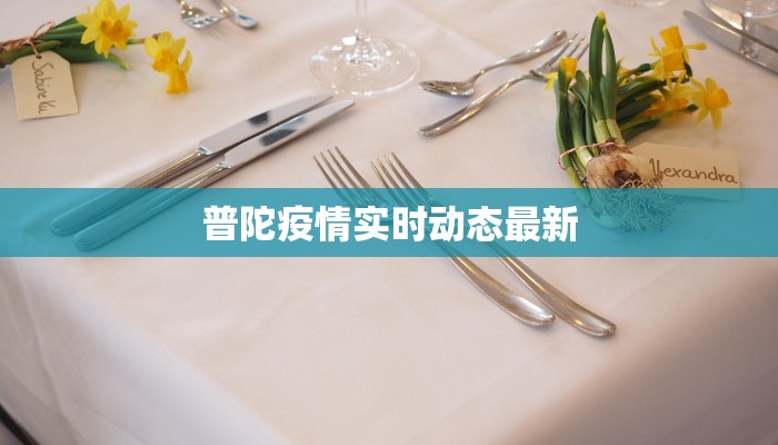 中老年加肥春秋服装：舒适与优雅的完美融合