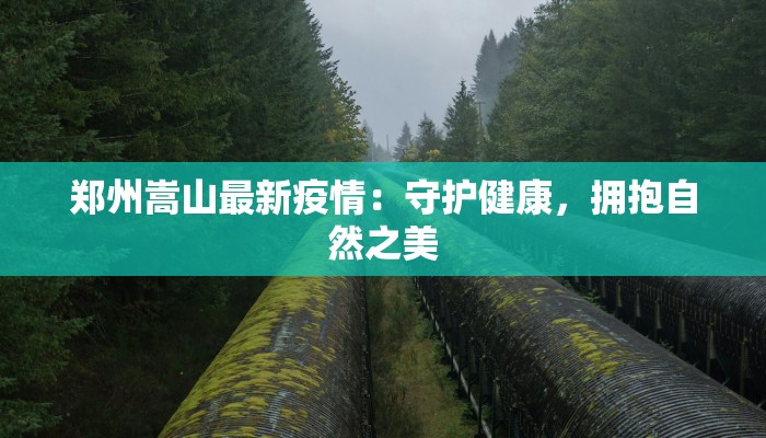 包头东河区天气预报：秋风送爽，探秘季节变迁的魅力之旅