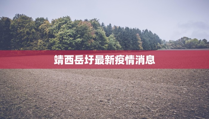 虾皇团购湖南:鲜美海味,一键触达你的味蕾盛宴 虾皇团购湖南:鲜美海味,一键触达你的味蕾盛宴