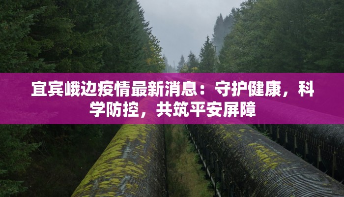 圆通快递逆向物流：高效退货，绿色循环新选择