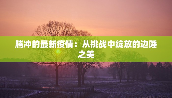 王城服装制版:匠心雕琢,时尚绽放 王城服装制版:匠心雕琢,时尚绽放