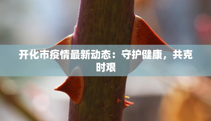 银川最新疫情最新报道:守护健康,共克时艰 银川最新疫情最新报道:守护健康,共克时艰