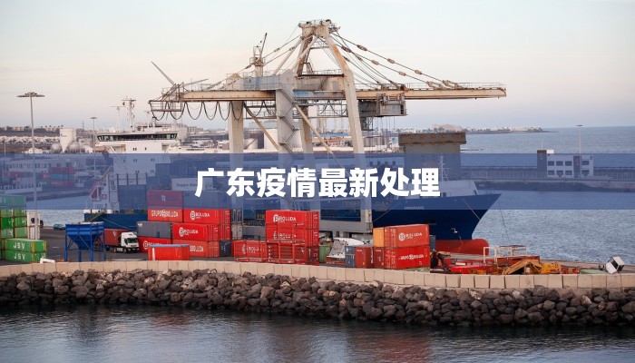 广东疫情最新处理