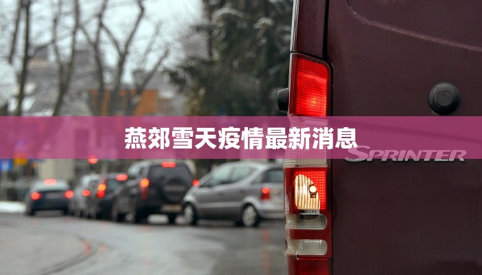 燕郊雪天疫情最新消息