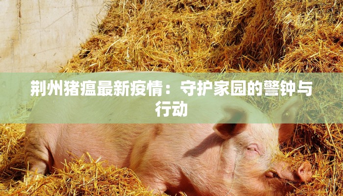 荆州猪瘟最新疫情：守护家园的警钟与行动