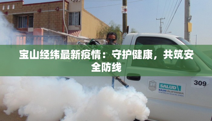 宝山经纬最新疫情：守护健康，共筑安全防线