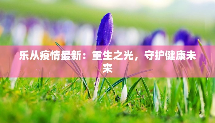 北京物流投诉快递:化解烦恼,畅享便捷 北京物流投诉快递:化解烦恼,畅享便捷