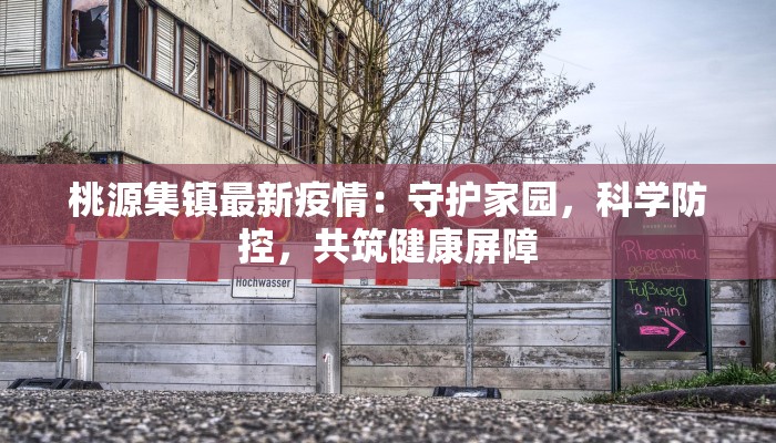 桃源集镇最新疫情：守护家园，科学防控，共筑健康屏障