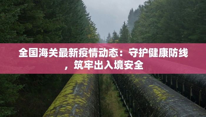 全国海关最新疫情动态：守护健康防线，筑牢出入境安全