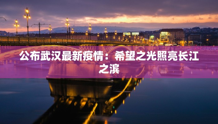 公布武汉最新疫情：希望之光照亮长江之滨