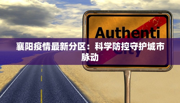 襄阳疫情最新分区：科学防控守护城市脉动