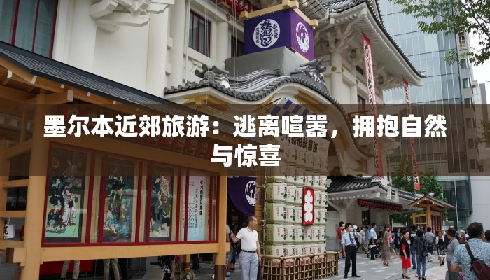 墨尔本近郊旅游:逃离喧嚣,拥抱自然与惊喜 墨尔本近郊旅游:逃离喧嚣,拥抱自然与惊喜