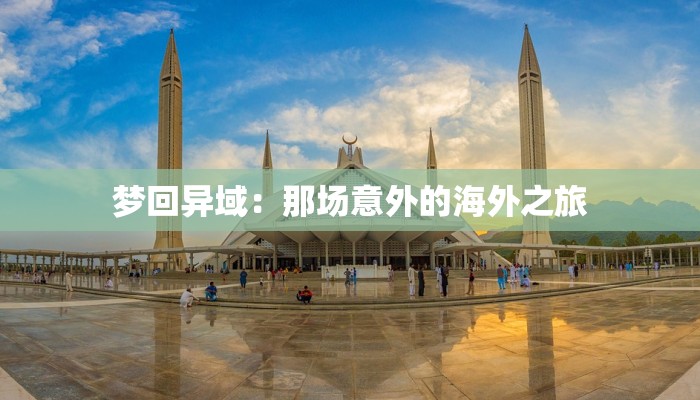梦回异域：那场意外的海外之旅