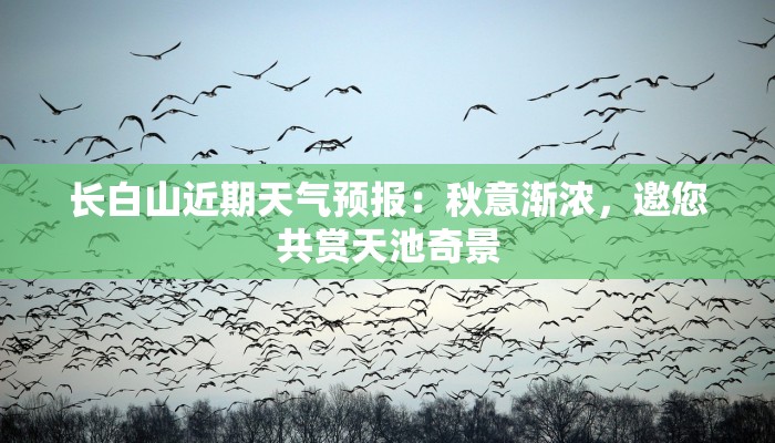 长白山近期天气预报:秋意渐浓,邀您共赏天池奇景 长白山近期天气预报:秋意渐浓,邀您共赏天池奇景